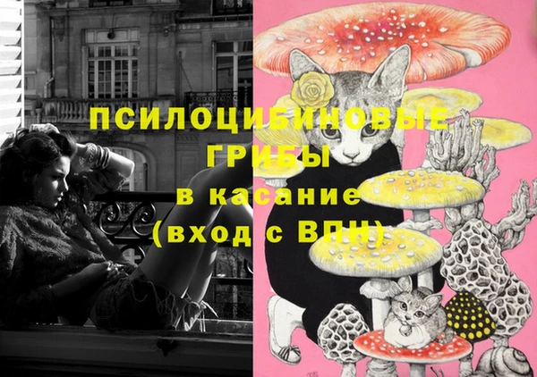 прущие крисы Инсар