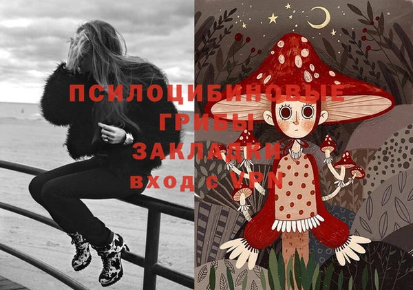 прущие крисы Инсар